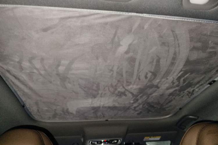 Used Leapmotor C01 2023 Range-Extended 216 Comfort Edition Headliner