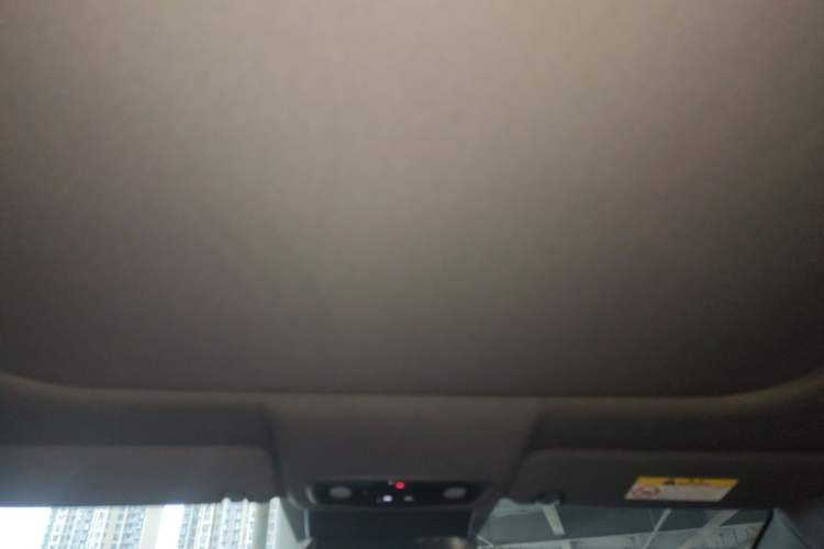 Used Leapmotor C01 2023 525 Comfort Edition Headliner