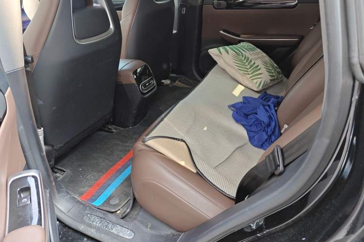 Used Leapmotor C01 2023 525 Comfort Edition Left Rear Seat
