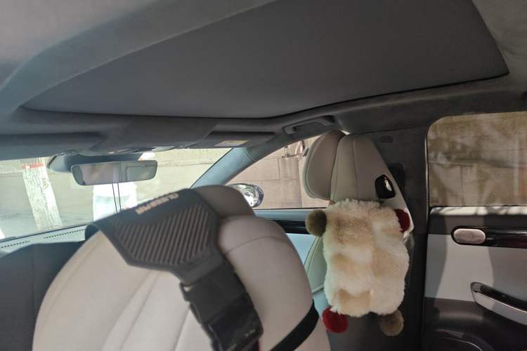 Used Leapmotor C01 2023 Range-Extended 316 Smart Edition Headliner