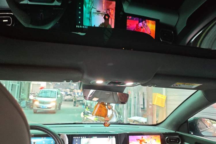Used Leapmotor C01 2023 606 Smart Edition Headliner