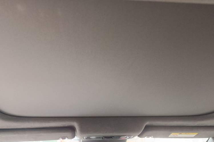 Used Leapmotor C01 2023 606 Smart Edition Headliner