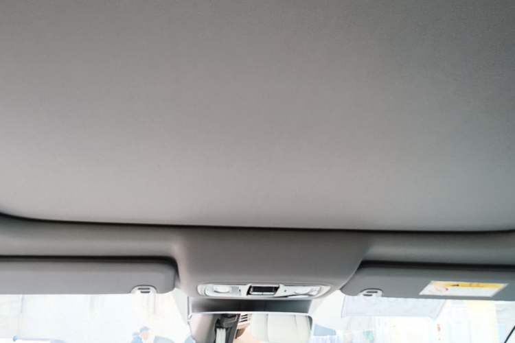 Used Leapmotor C01 2023 525 Comfort Edition Headliner