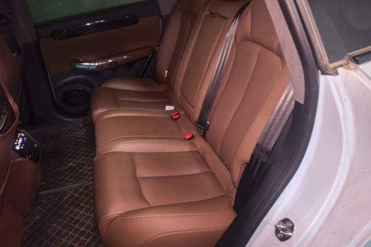 Used Leapmotor C01 2023 606 Smart Edition Left Rear Seat