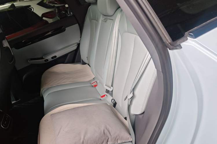 Used Leapmotor C01 2023 Range-Extended 216 Comfort Edition Left Rear Seat