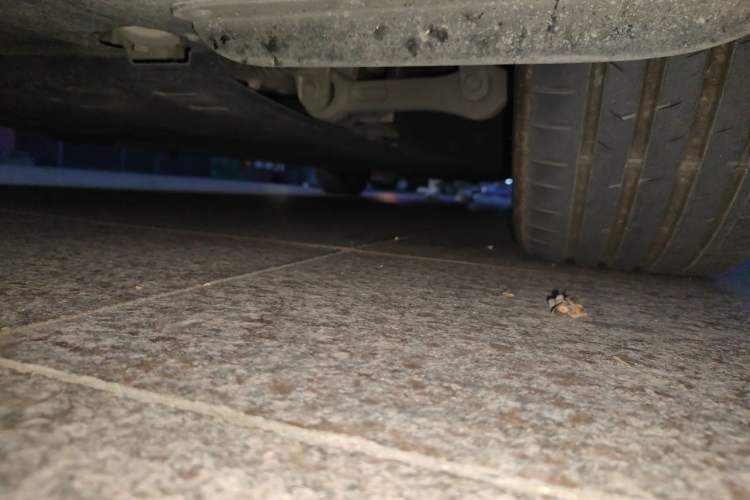 Used Leapmotor C01 2023 525 Comfort Edition Chassis Front Left
