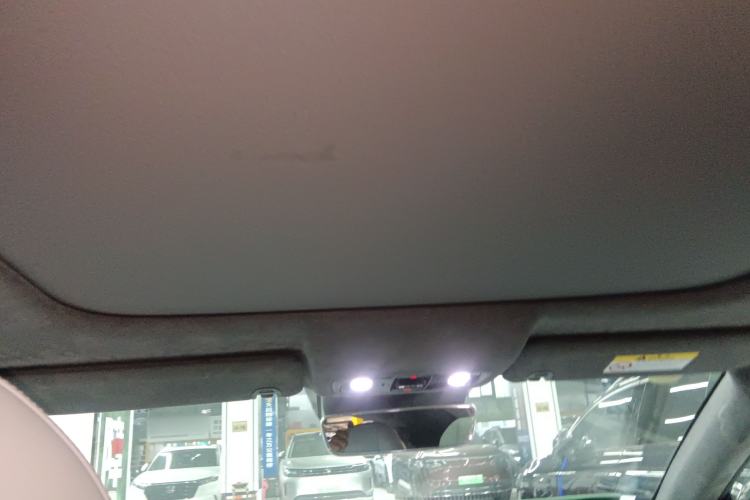 Used Leapmotor C01 2023 630 All-Wheel-Drive Performance Version Headliner