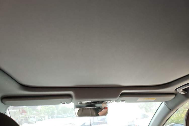 Used Leapmotor C01 2023 525 Comfort Edition Headliner