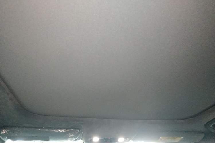 Used Leapmotor C01 2023 630 All-Wheel-Drive Performance Version Headliner
