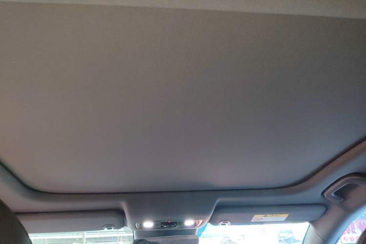 Used Leapmotor C01 2023 525 Comfort Edition Headliner