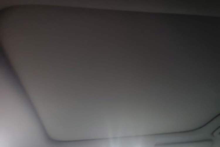 Used Leapmotor C01 2023 525 Comfort Edition Headliner