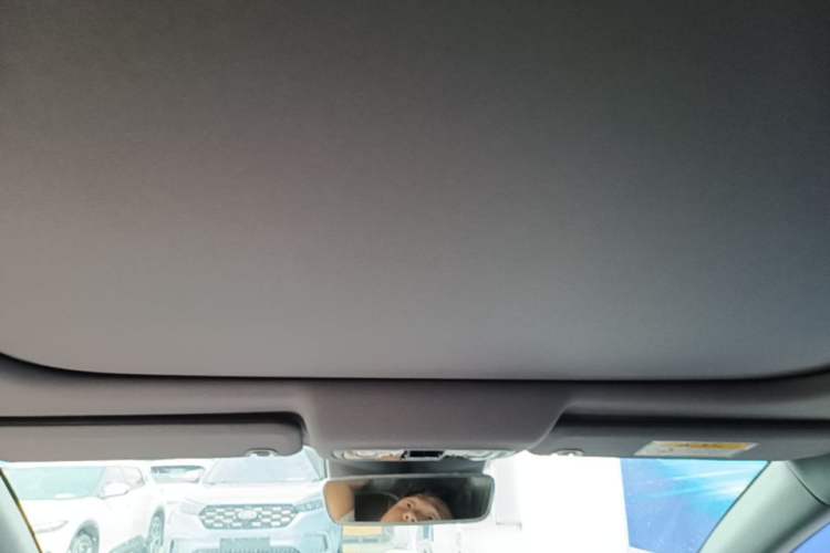 Used Leapmotor C01 2023 525 Comfort Edition Headliner