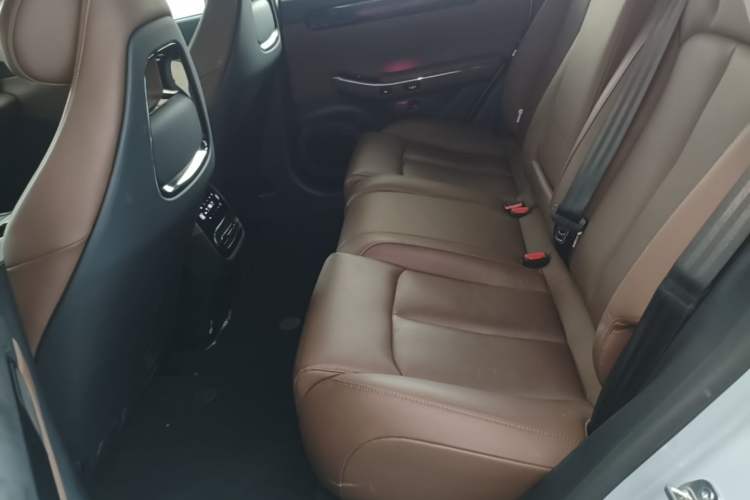 Used Leapmotor C01 2023 Range-Extended 316 Smart Edition Left Rear Seat
