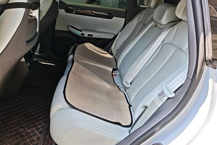 Used Leapmotor C01 2023 525 Smart Drive Edition Left Rear Seat