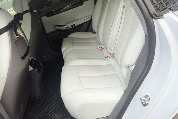 Used Leapmotor C01 2023 Range-Extended 316 Smart Edition Left Rear Seat