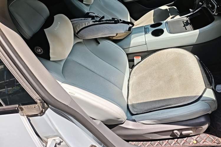 Used Leapmotor C01 2023 525 Smart Drive Edition Right Front Seat
