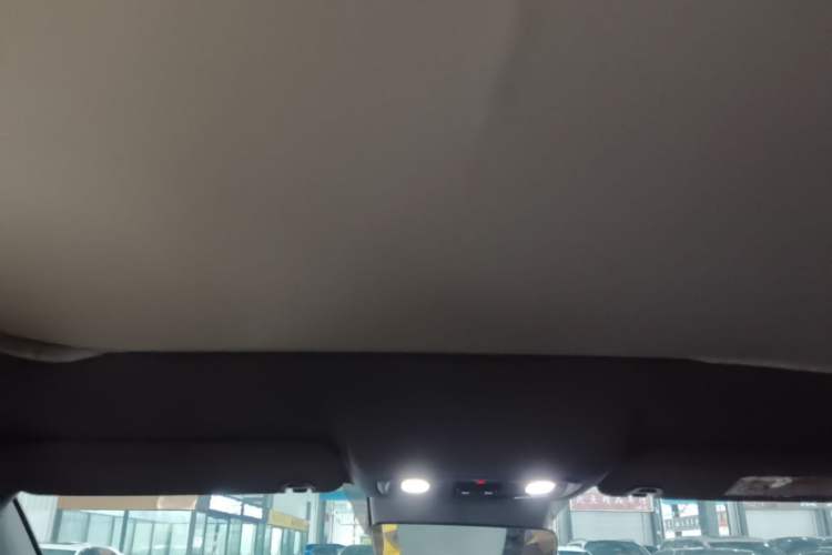 Used Leapmotor C01 2023 525 Comfort Edition Headliner