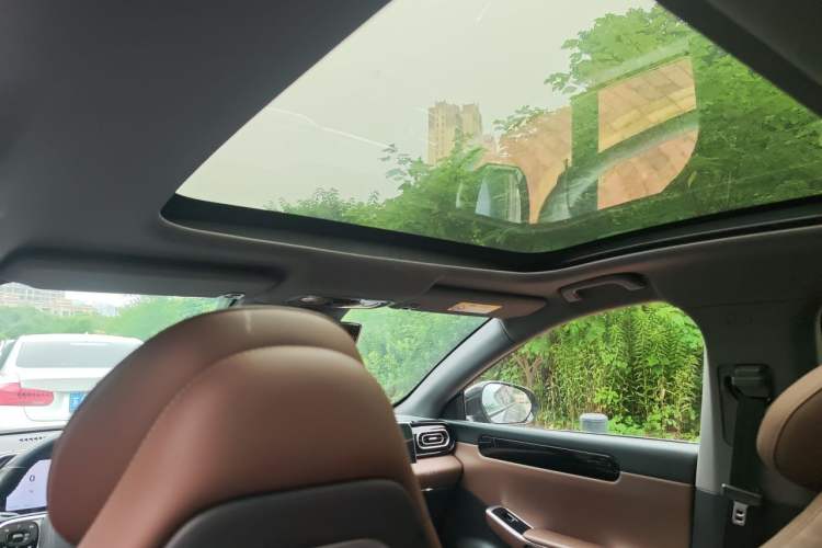 Used Leapmotor C01 2023 525 Comfort Edition Headliner