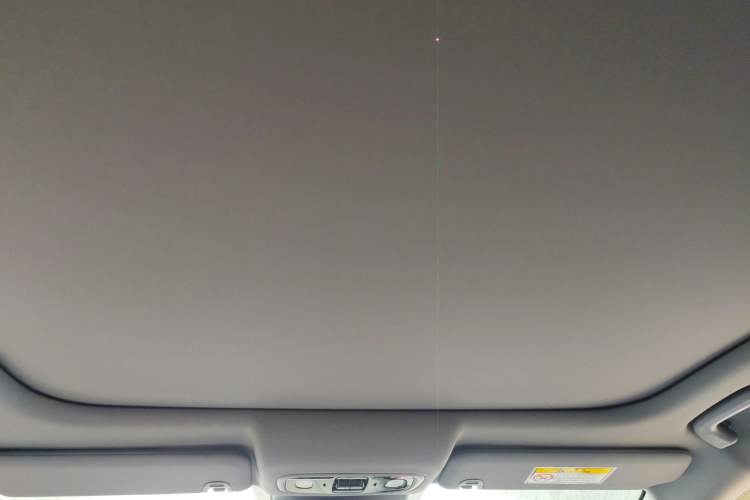 Used Leapmotor C01 2023 525 Comfort Edition Headliner