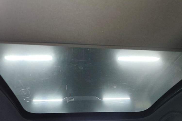 Used Leapmotor C01 2023 525 Comfort Edition Headliner
