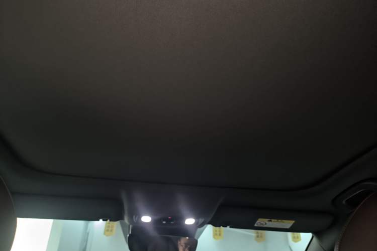 Used Leapmotor C01 2023 525 Comfort Edition Headliner