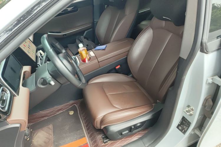 Used Leapmotor C01 2023 Range-Extended 216 Comfort Edition Left Front Seat