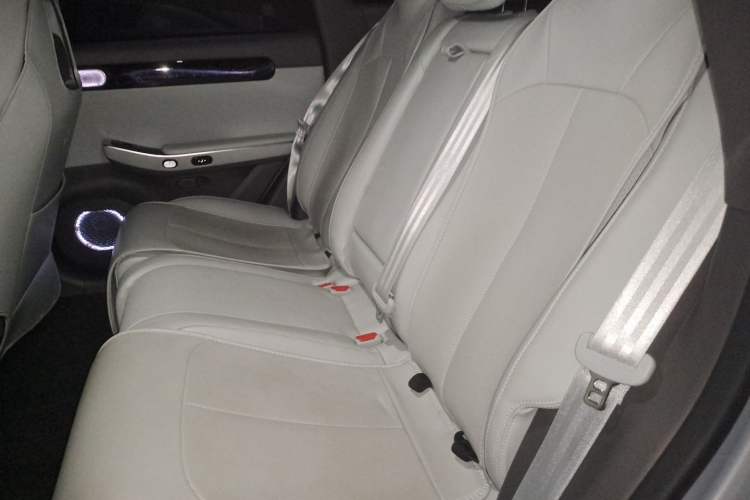 Used Leapmotor C01 2023 525 Comfort Edition Left Rear Seat