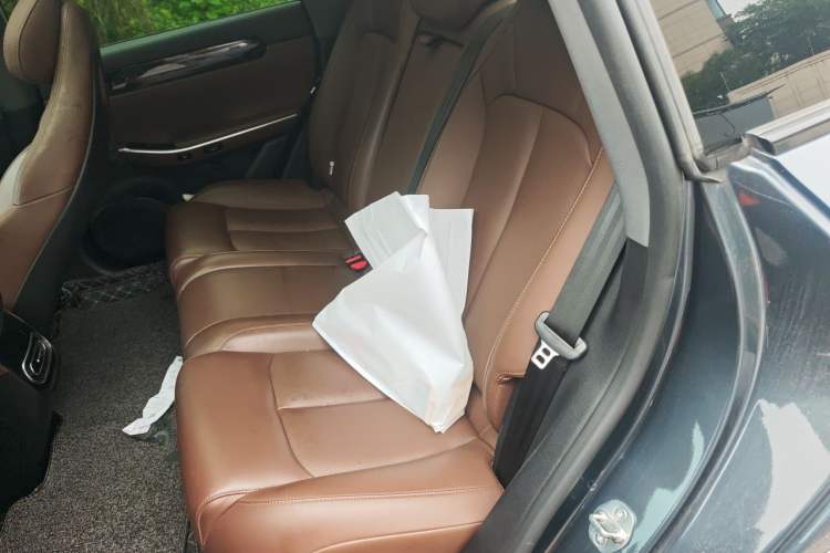 Used Leapmotor C01 2023 525 Comfort Edition Left Rear Seat