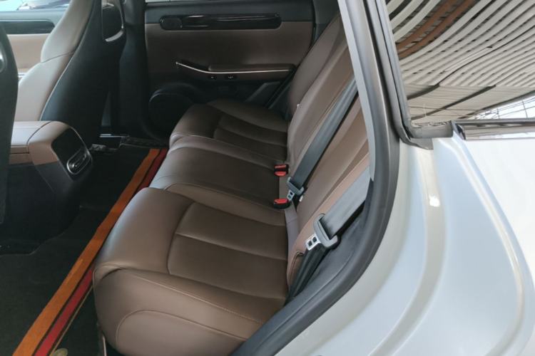 Used Leapmotor C01 2023 Extended-Range 316 Comfort Edition Left Rear Seat