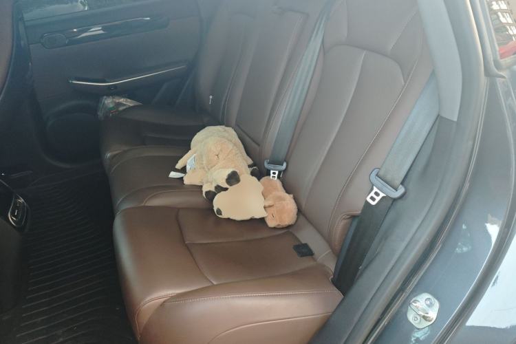 Used Leapmotor C01 2023 525 Comfort Edition Left Rear Seat