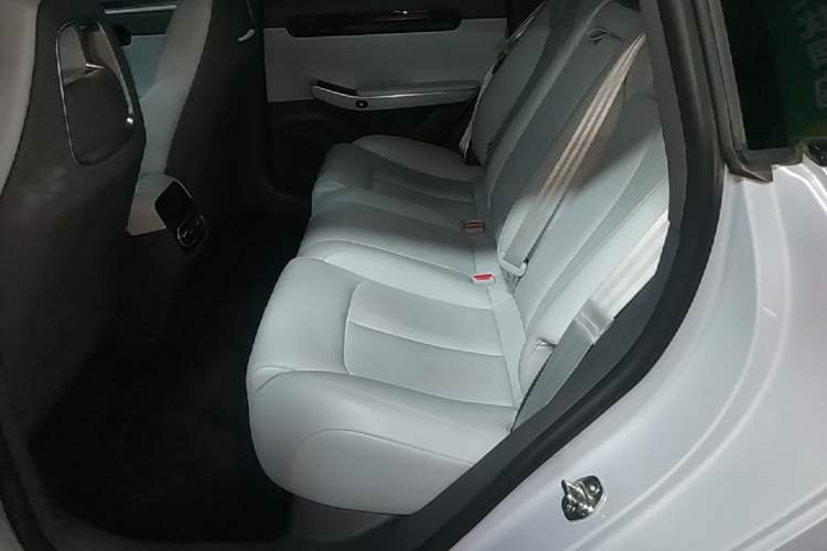 Used Leapmotor C01 2023 525 Comfort Edition Left Rear Seat