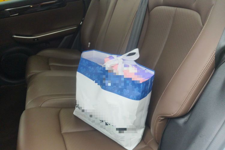 Used Leapmotor C01 2023 525 Comfort Edition Left Rear Seat