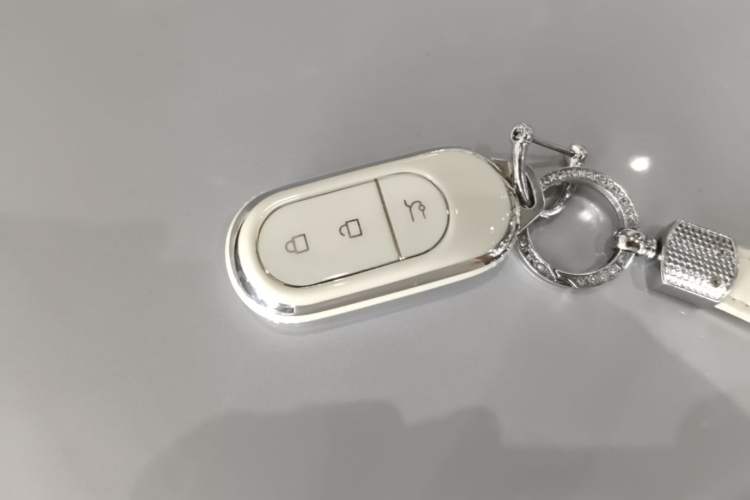 Used Leapmotor C01 2023 525 Comfort Edition Vehicle Key
