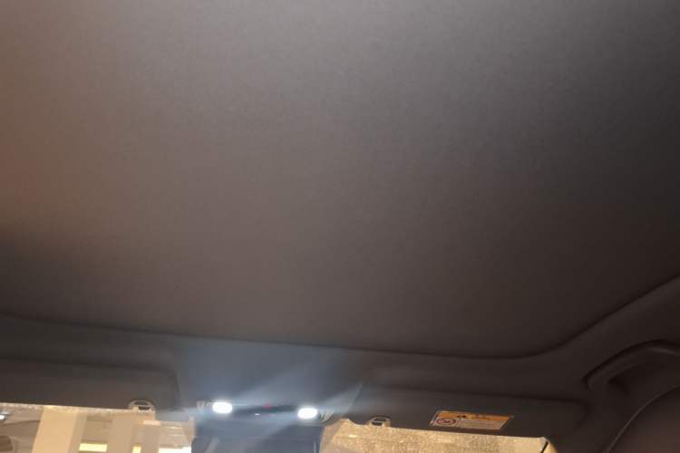 Used Leapmotor C01 2023 525 Comfort Edition Headliner