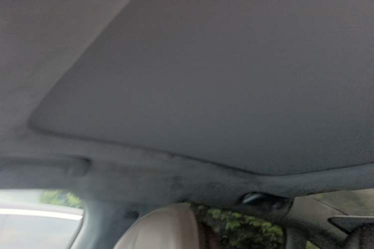 Used Leapmotor C01 2023 606 Smart Edition Headliner