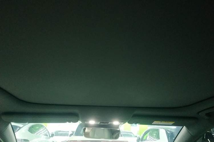 Used Leapmotor C01 2023 525 Comfort Edition Headliner