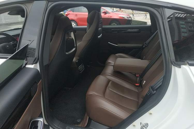 Used Leapmotor C01 2023 525 Comfort Edition Left Rear Seat