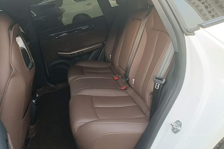 Used Leapmotor C01 2023 525 Comfort Edition Left Rear Seat
