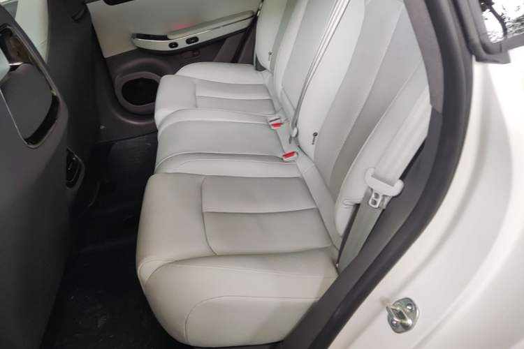 Used Leapmotor C01 2023 630 All-Wheel-Drive Performance Version Left Rear Seat