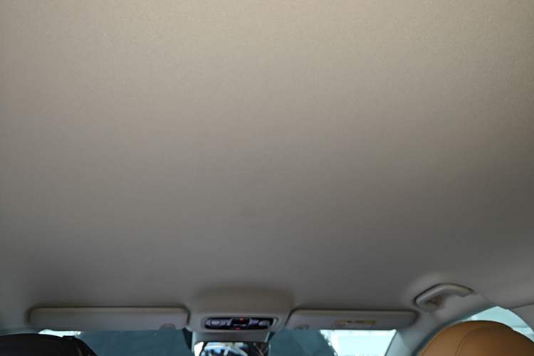 Used Leapmotor C01 2024 Pure Electric 525 Smart Drive Edition Headliner
