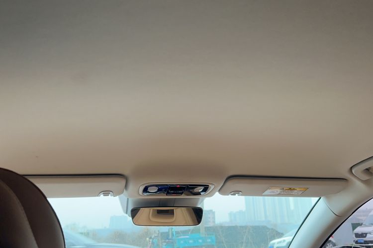 Used Leapmotor C01 2024 Pure Electric 525 Smart Drive Edition Headliner