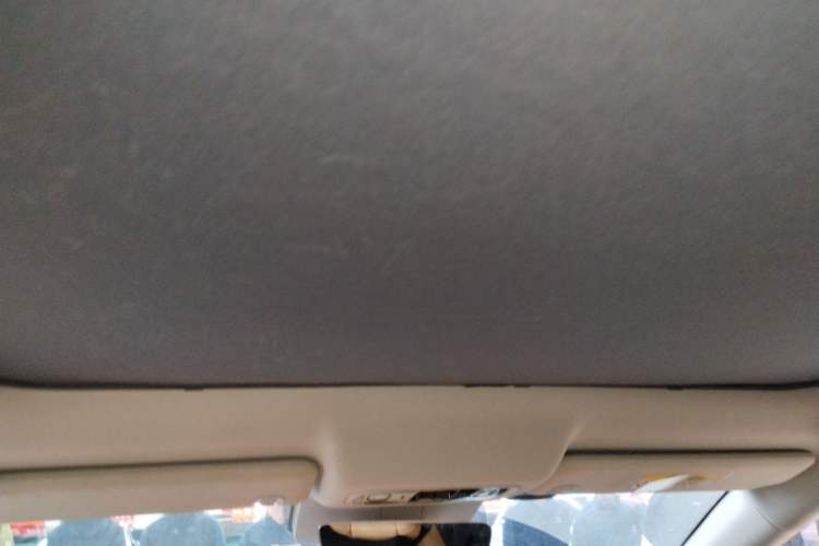 Used Leapmotor C01 2024 Range-Extended 216 Luxury Edition Headliner