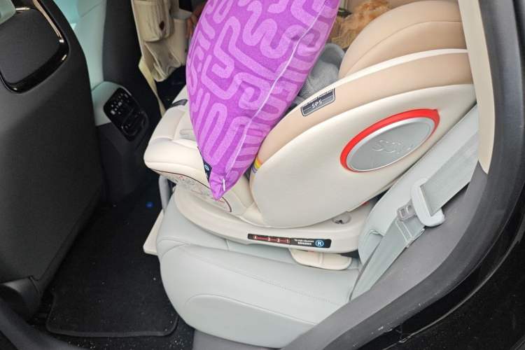Used Leapmotor C01 2024 Range-Extended 216 Luxury Edition Left Rear Seat
