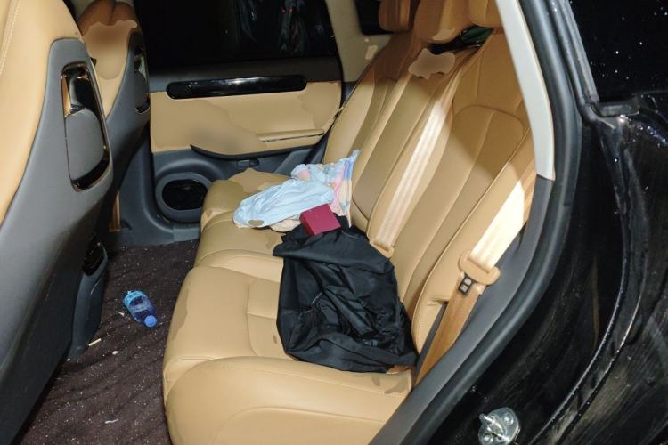 Used Leapmotor C01 2024 Range-Extended 216 Luxury Edition Left Rear Seat