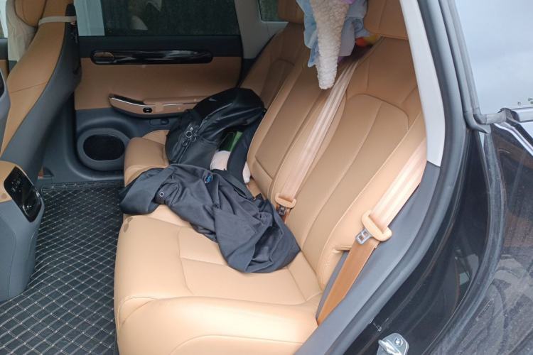 Used Leapmotor C01 2024 Range-Extended 216 Luxury Edition Left Rear Seat