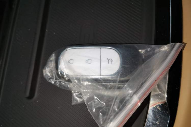 Used Leapmotor C01 2024 All-Electric 625 Deluxe Edition Vehicle Key
