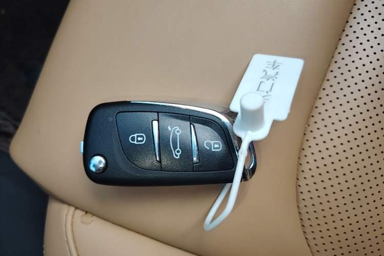 Used Leapmotor C01 2024 Pure Electric 525 Smart Drive Edition Vehicle Key