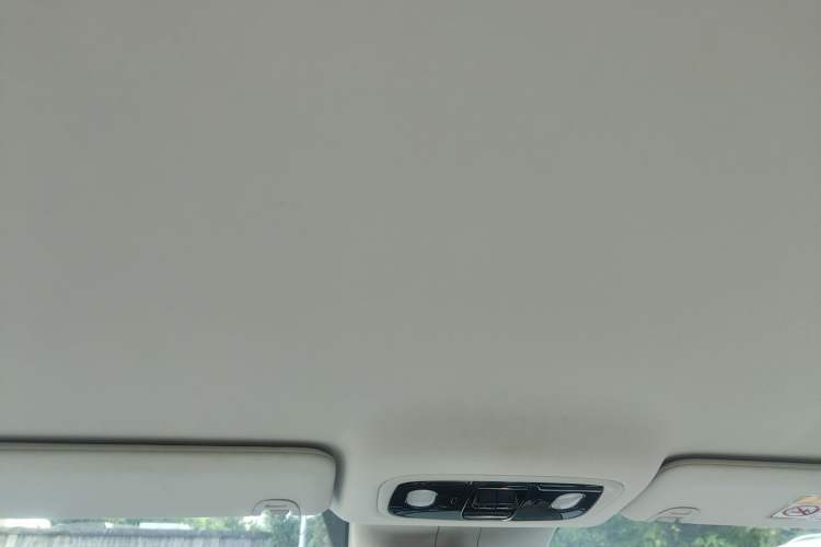 Used Leapmotor C01 2024 Pure Electric 525 Comfort Edition Headliner