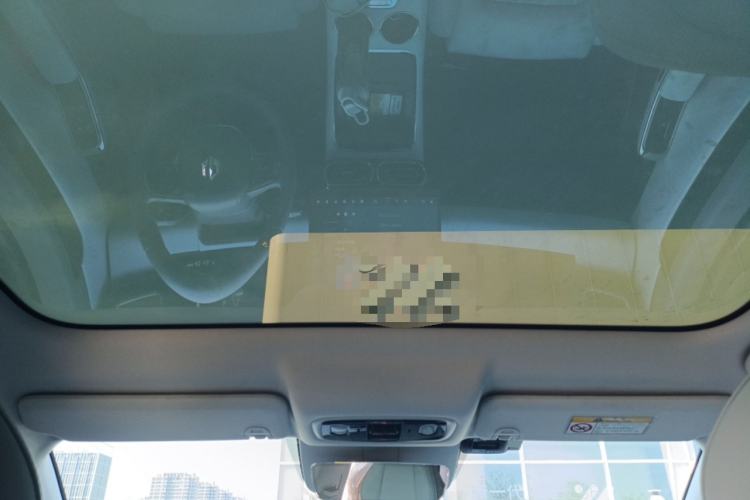 Used Leapmotor C01 2024 Range-Extended 216 Luxury Edition Headliner
