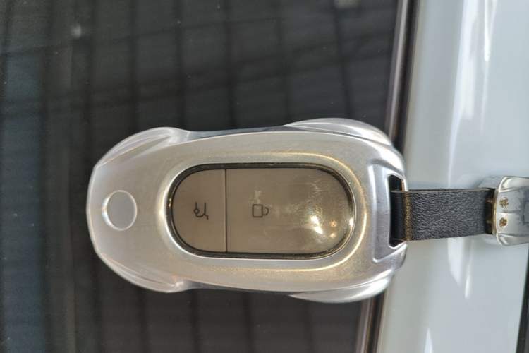 Used Leapmotor C01 2024 Pure Electric 525 Luxury Edition Interior 1